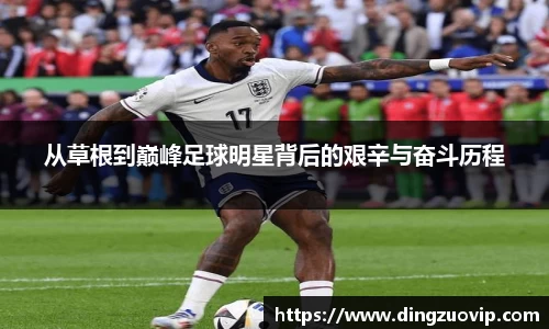 九游会·(j9)官方网站