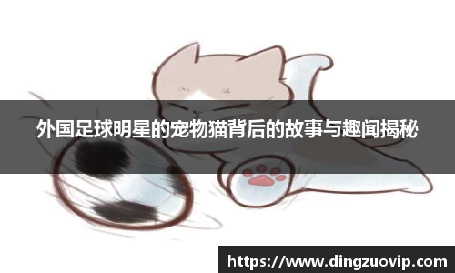 九游会·(j9)官方网站